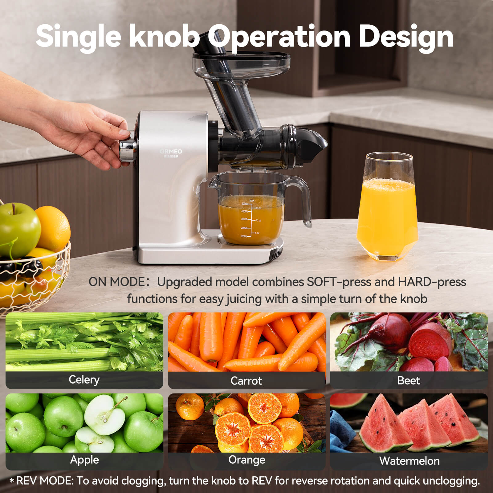 Cold Press Juicer, More Nutrients, Quiet Slow Juicer, Silver