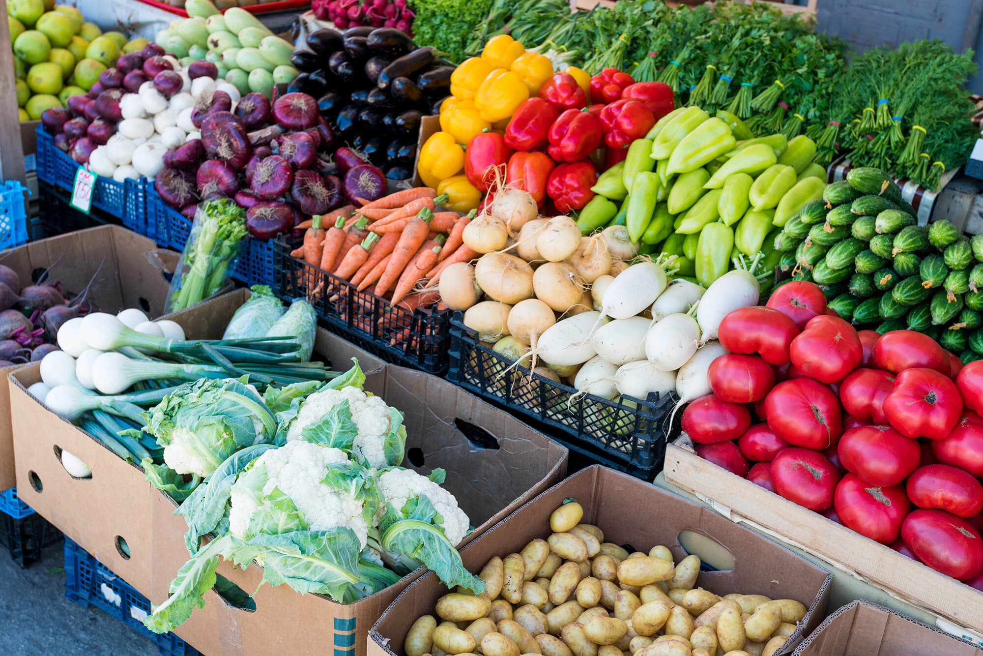 What are the Best Vegetables to Juice? Veggie Nutrient Decoder