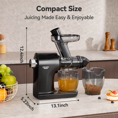 Cold Press Juicer, More Nutrients, Quiet Slow Juicer, Black