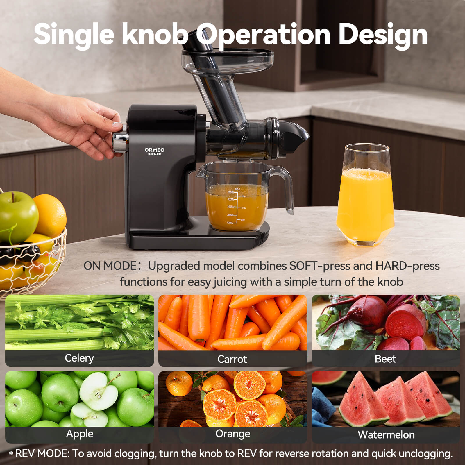 Cold Press Juicer, More Nutrients, Quiet Slow Juicer, Black