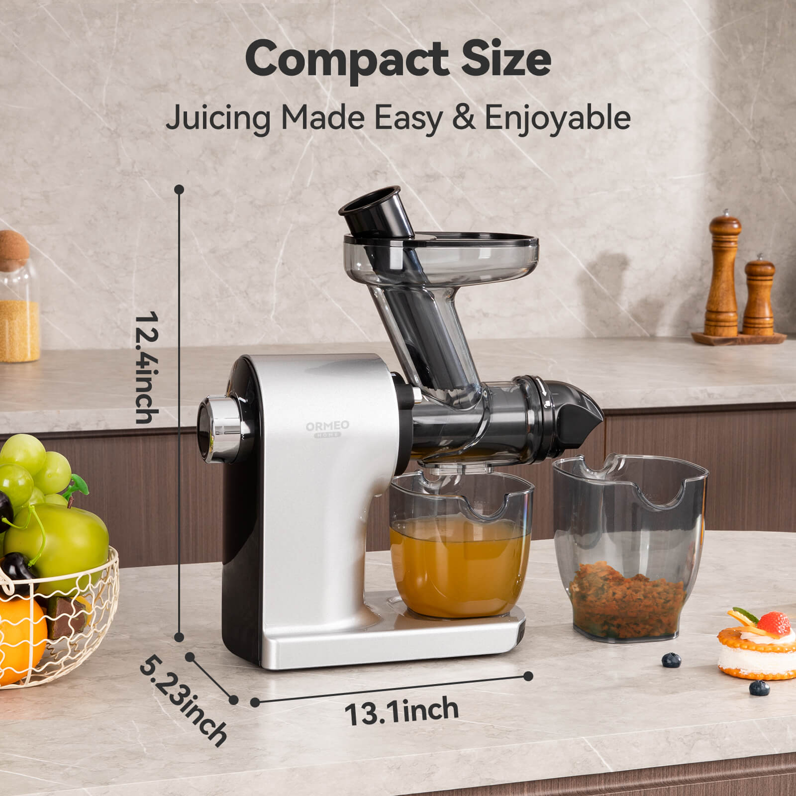 Cold Press Juicer, More Nutrients, Quiet Slow Juicer, Silver